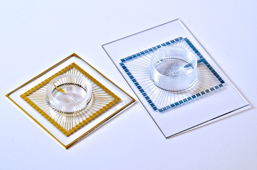 With their new 3-D-printing technique, the team has also printed soft multi-electrode arrays that can be used to monitor the activity of individual neurons.