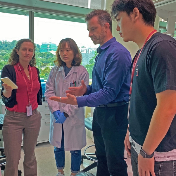 SMART Antimicrobial Resistance Interdisciplinary Research Group and Low Energy Electronic Systems researchers (left to right) Hadley Sikes, Jia Huan, Tonio Buonassisi, and Isaac Siyu Tian optimize materials used in rapid protein tests.