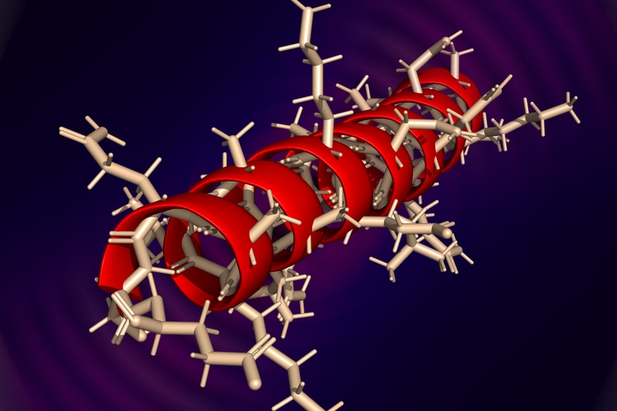 With the MIT-IBM Watson AI Lab, Markus Buehler and his colleagues used artificial intelligence to reproduce the alpha-helical protein that honeybees produce in making silk to build their hives.