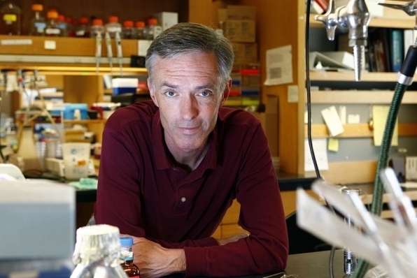 Jim Collins, the Termeer Professor of Medical Engineering and Science in MIT’s Institute for Medical Engineering and Science and the Department of Biological Engineering, is the recipient of funding from The Audacious Project to harness AI for drug discovery.