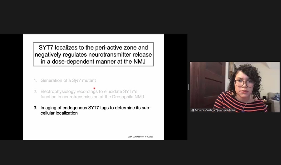 Mónica C. Quiñones-Frías describes key experimental steps during her thesis defense, delivered via videoconference.
