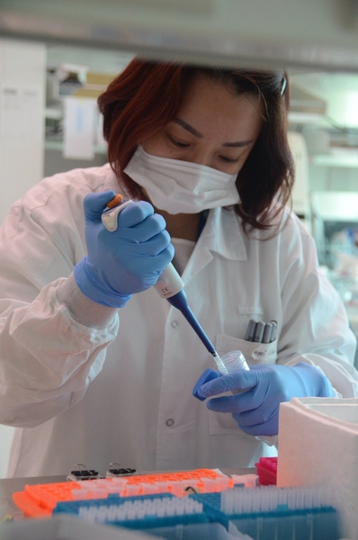 A SMART Antimicrobial Resistance Interdisciplinary Research Group scientist optimizes a prototype assay.