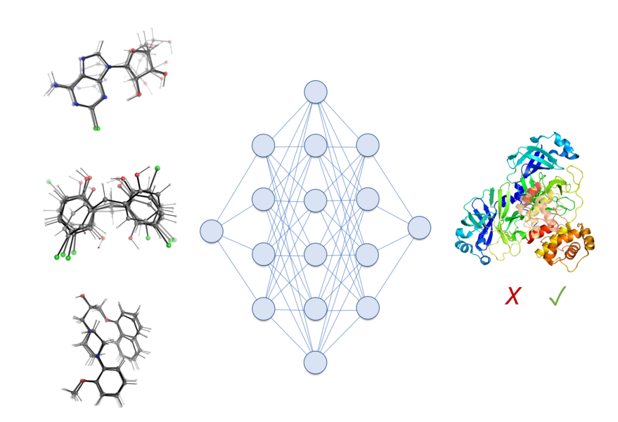 In a project led by MIT assistant professor Rafael Gomez-Bombarelli, researchers will represent molecules in three-dimensions to see if added spatial information can help to identify already-approved drugs most likely to work against Covid-19. Here, a deep neural network analyzes the molecules on the left and predicts whether it will hit the coronavirus protein on the right.