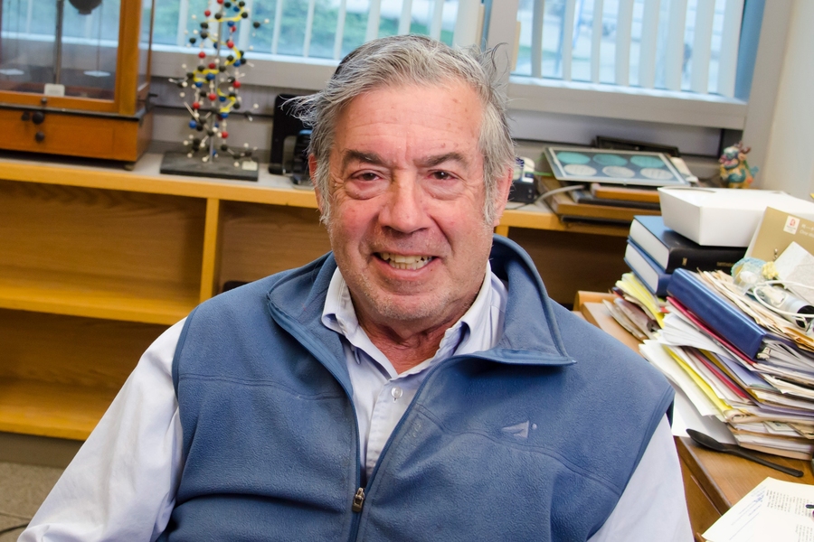 Professor of biology Jonathan King co-chairs the Nuclear Disarmament Working Group of Massachusetts Peace Action, MIT’s annual Reducing the Threat of Nuclear War conference, and the <i>MIT Faculty Newsletter</i> editorial board.