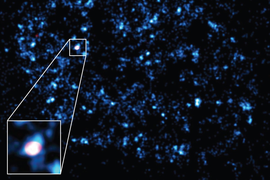 Dual-color super-resolution imaging reveals Pol II clusters (cyan blue) in the nucleus of a living cell. At this instant, a cluster of Pol II is captured on the active beta-actin gene locus (red).
