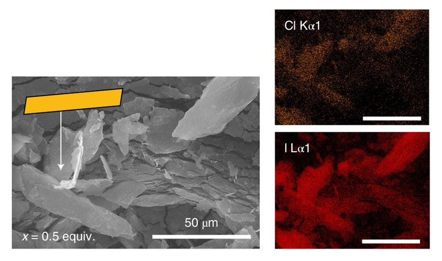 Left: Scanning electron microscope image of film fragments. Right: Elemental mapping indicates that hybrid perovskite has been created: tetrachloro-1,2-benzoquinone (TCBQ) is incorporated with the perovskite, as chlorine (top) and iodine (bottom) are co-localized.
