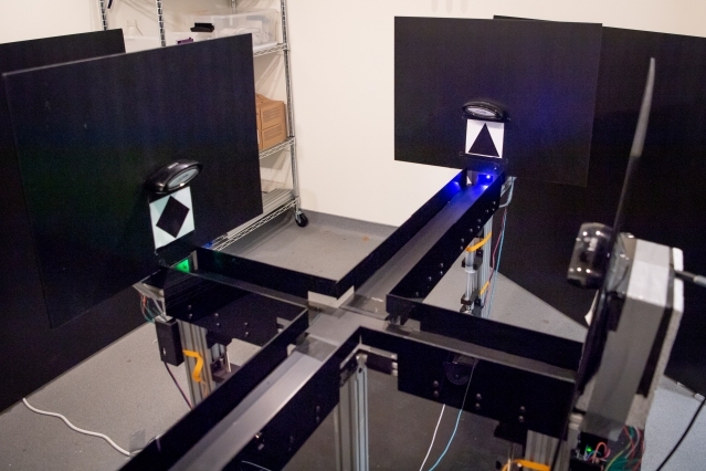 animals context neuro