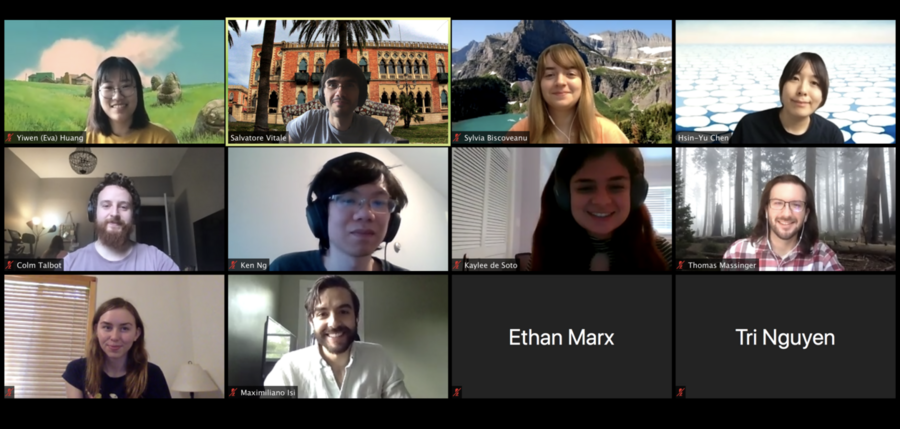 Professor Salvatore Vitale and his lab (shown here during a recent Zoom meeting)