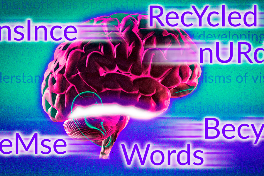 Nonsense and Human Mind - Pictured As Word Nonsense Inside a Head