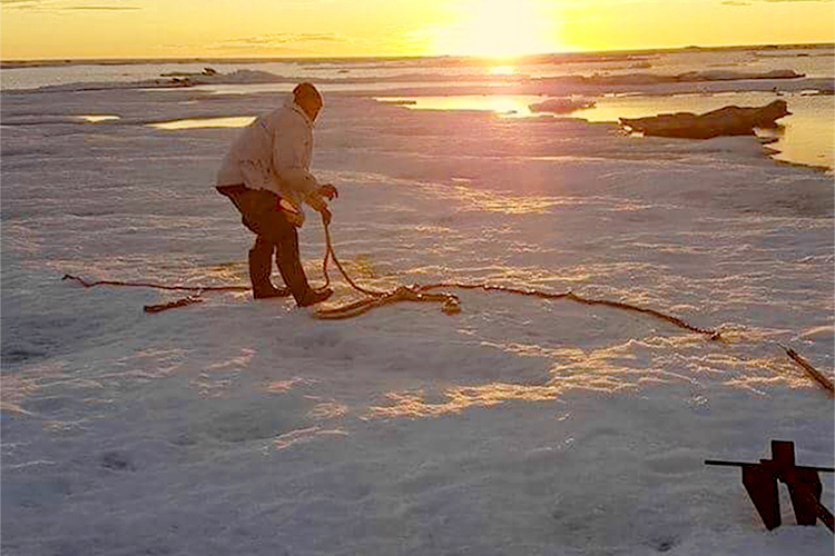 Photo of an Alaska villager hunting on ice