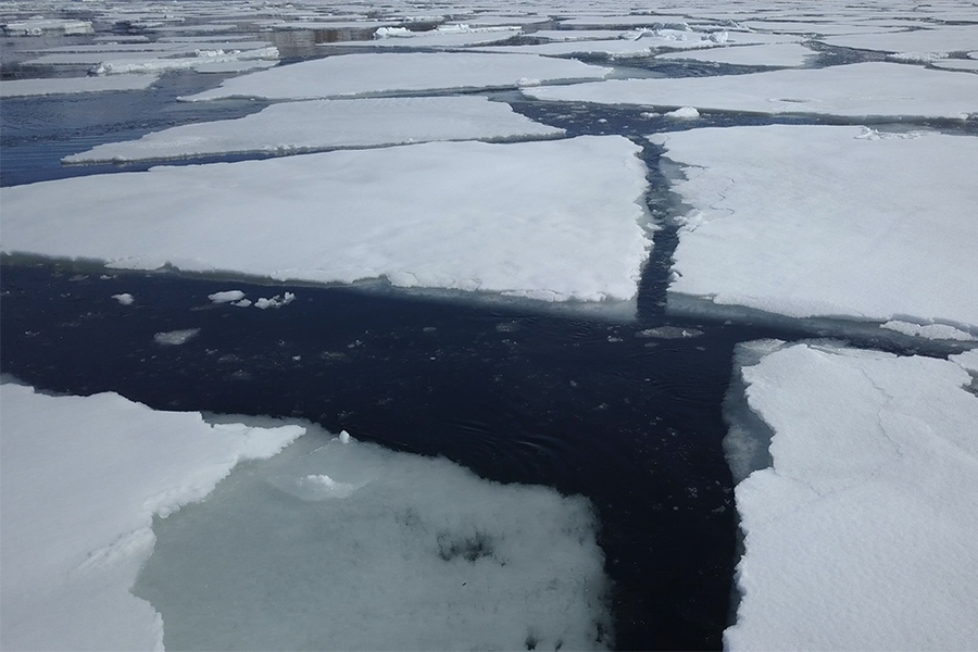 sea ice cracks