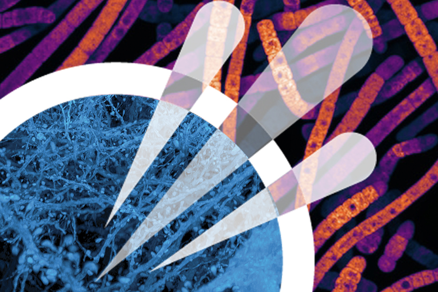 Center for Molecular Therapeutics logo superimposed over molecular brain-related images.