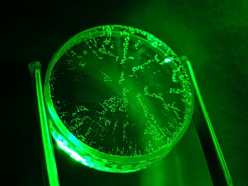 A circular chunk of a mirror, bathed in green light in a dark room, being held by tweezers