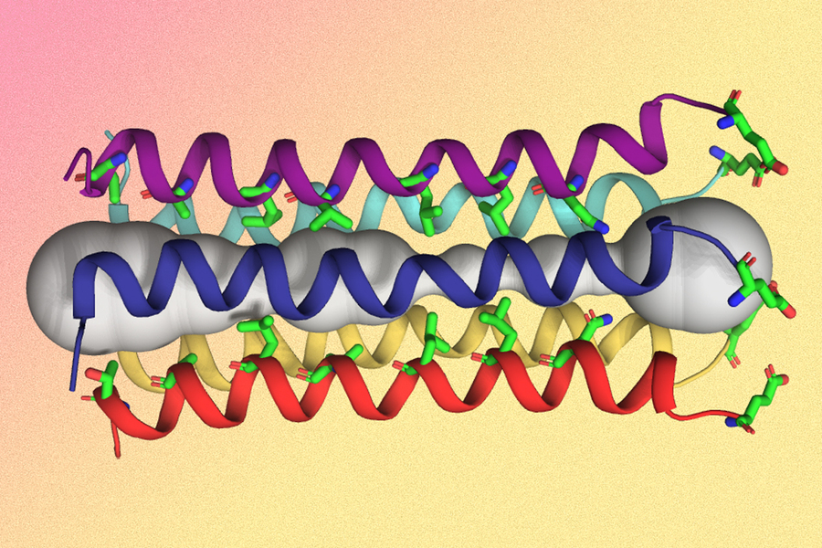Illustration of a protein structure