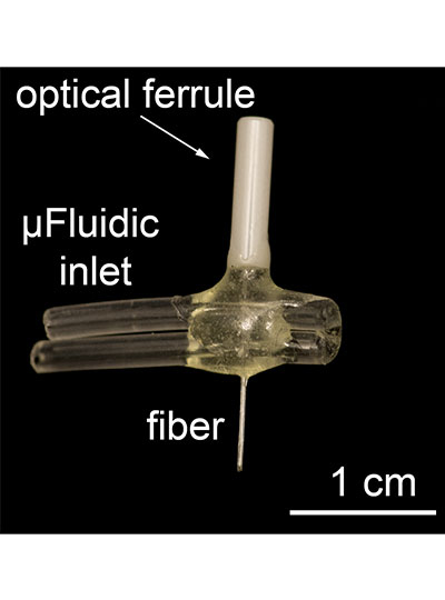 Picture of Anikeeva lab device