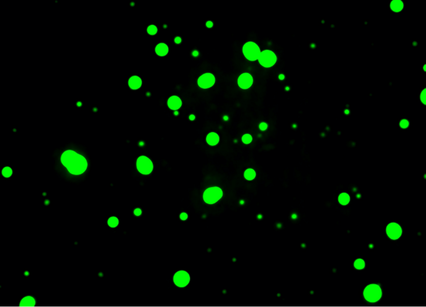 Bright green dots on a black background.