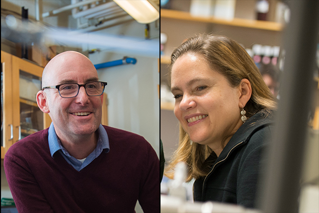 Photos of professors Jesse Kroll and Cathy Drennan