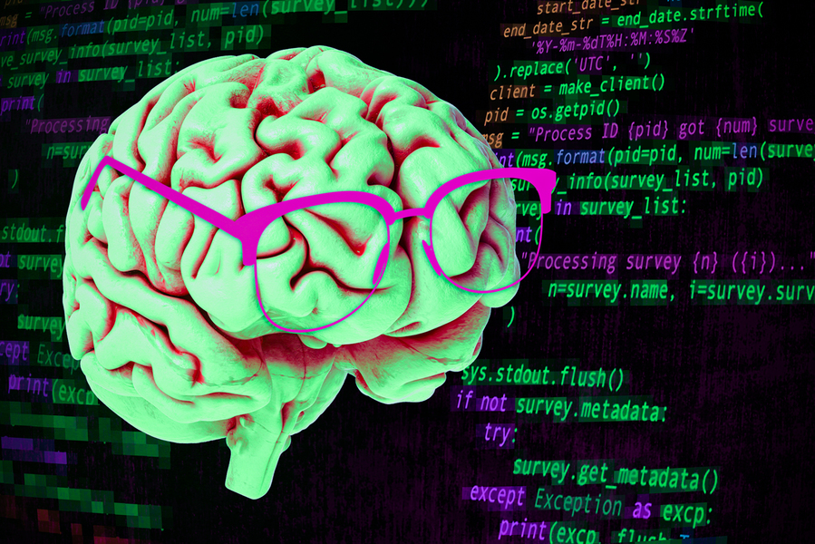 To the brain, reading computer code is not the same as reading language |  MIT News | Massachusetts Institute of Technology