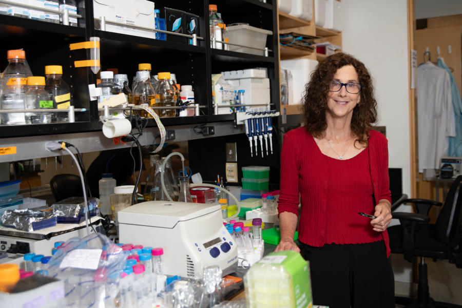 Photo of Pamela Björkman standing by a lab bench