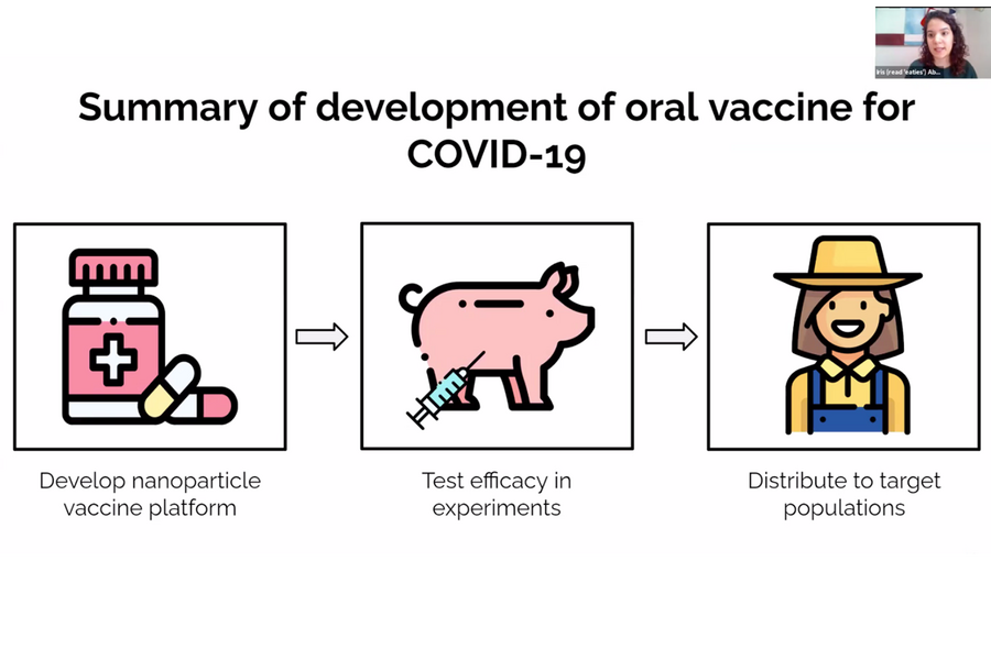 Screenshot of a presentation slide featuring (l to r) "develop nanoparticle vaccine platform," "test efficacy in experiments," and "distribute to target populations"