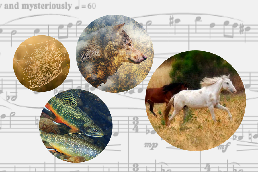 In the background: sheet music. Foreground: four cirlces, with images of a spider web, a wolf, two fish, and two horses 