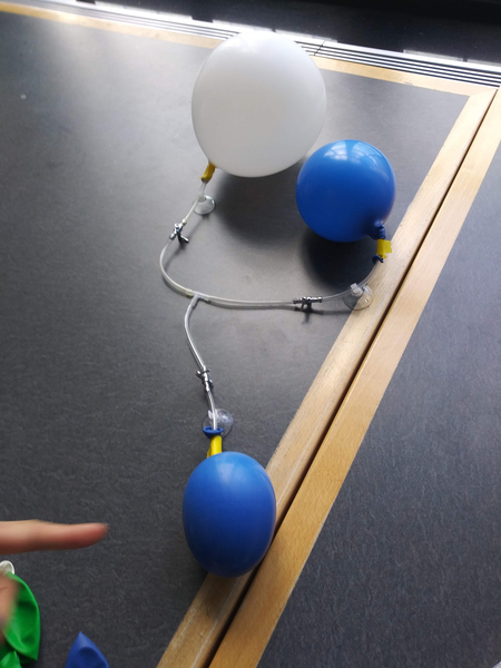 experimental setup with balloons connected by tubing