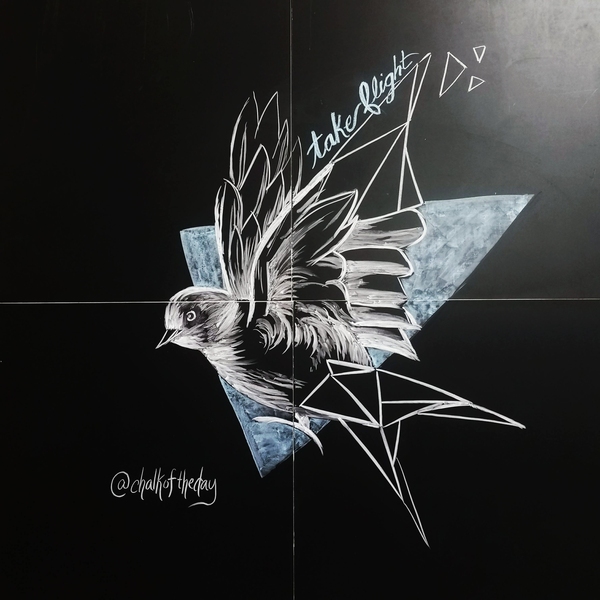 A chalk drawing of a bird in flight