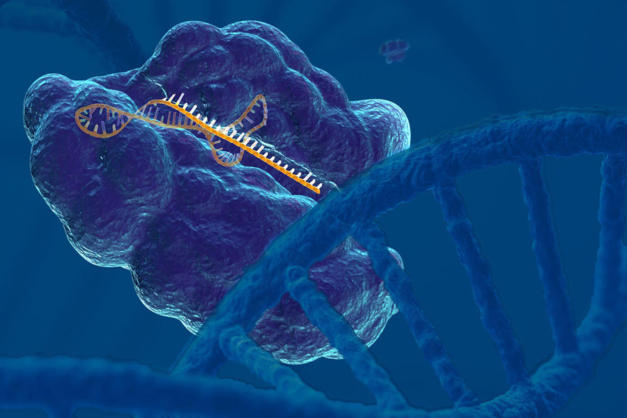 crispr-edited molecule