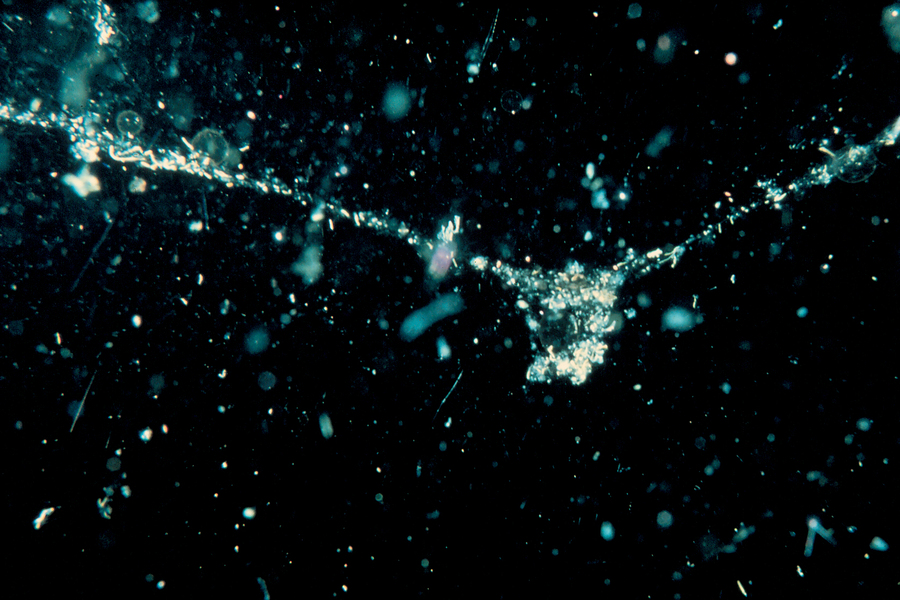 sinking marine material