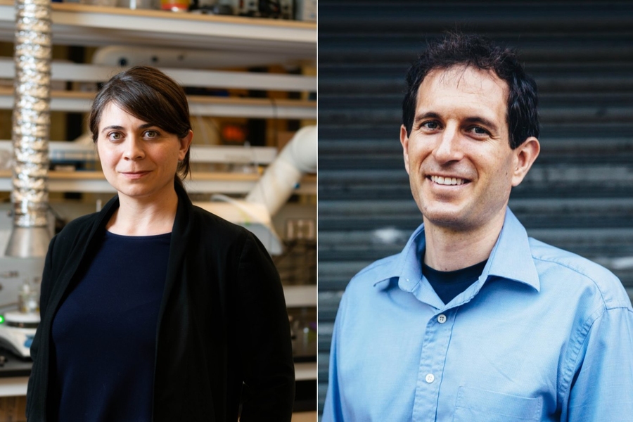 Side-by-side portrait photos of Desiree Plata and Justin Steil