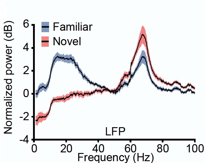 A graph with a red line and a blue line. The Y axis shows power and the X axis shows frequency.