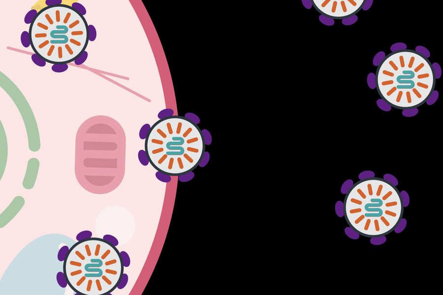 New nanoparticles can perform gene editing in the lungs, MIT News