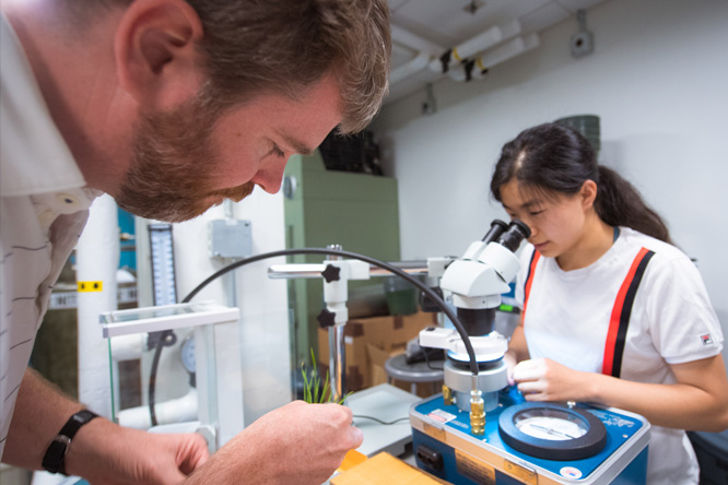 In the foreground, a man with a beard works with some unseen equipment in a lab; at right, a woman with long black hair looks through a microscope.
