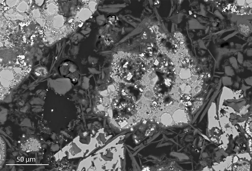 Black-and-white electron microscope image features many granular blobs of different shades