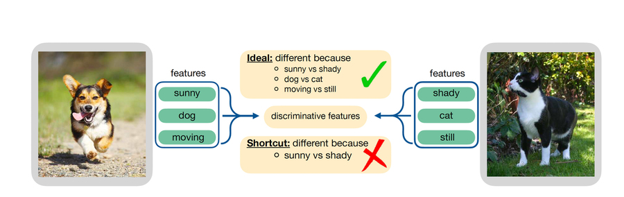 explanatory graphic of system