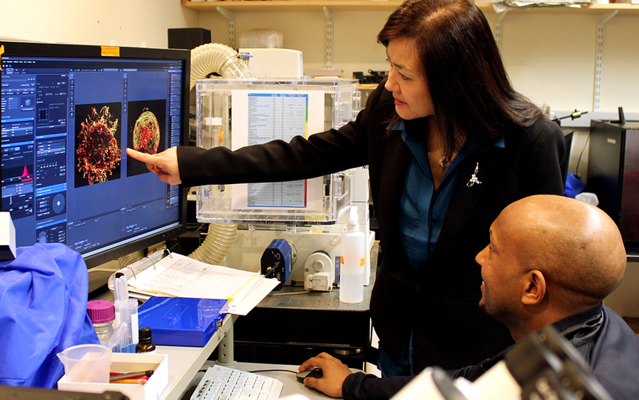 Photo taken at a computer desk in a lab; Li-Huei Tsai is standing and pointing to the screen while Hiruy Meharena, seated, looks on.