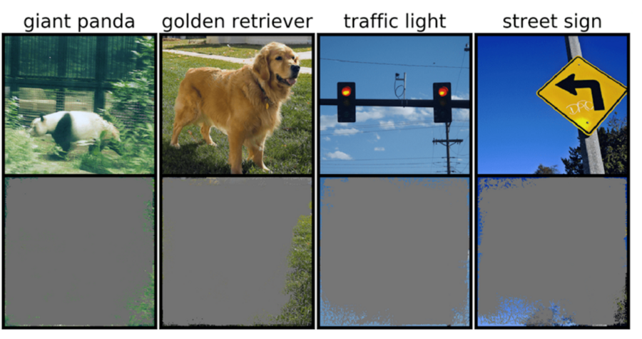 Four photos in the top row show a giant panda, a golden retriever, a traffic light, and a street sign. The bottom row shows only the edges of the same images.