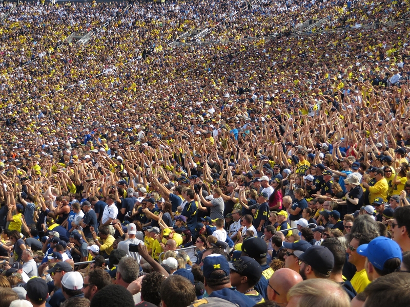 Photo of a crowd full of stadium fans in which a column of people are all standing with their arms raised