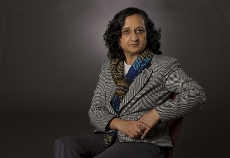 Portrait photo of Anuradha Annaswamy seated before a gray background
