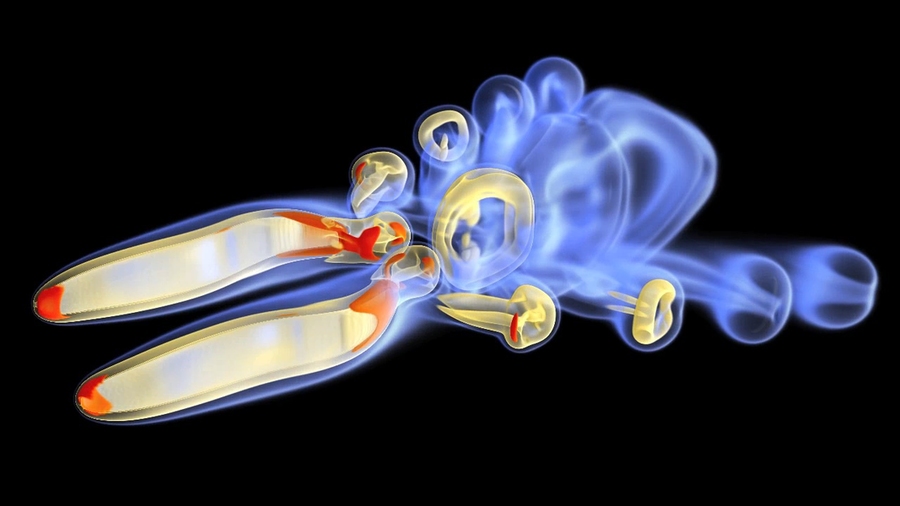 Image of two simulated fish wakes side-by-side