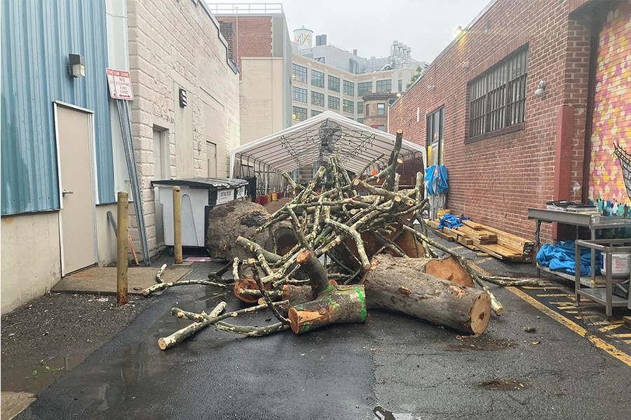 Photo of a pile of scrap felled trees in an alley way.