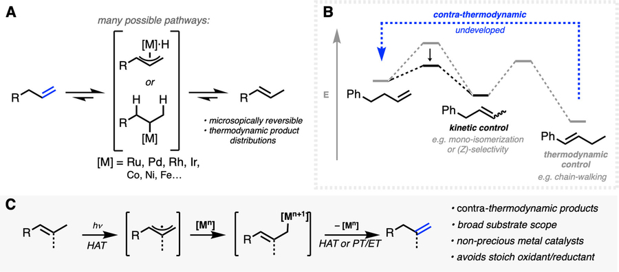 Graphical summary of the research, in black-and-white text and lines