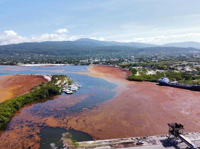 Aerial photo showing sargassum clogging a waterway