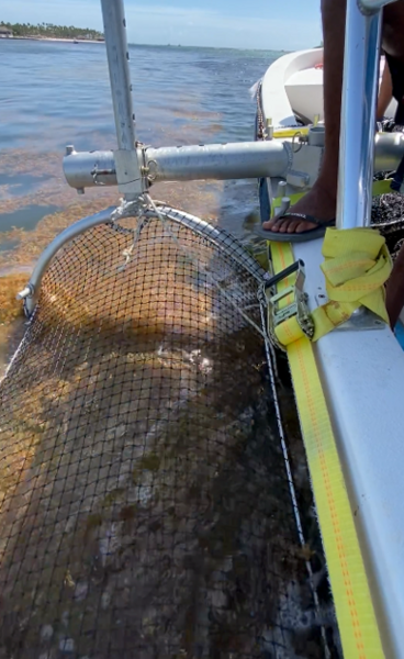 Photo of a Littoral Collection Module harvesting sargassum