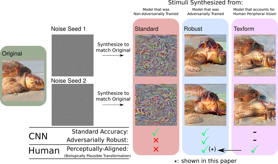 images representing computer vision models