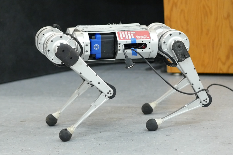Photo of MIT’s mini-cheetah robot standing still