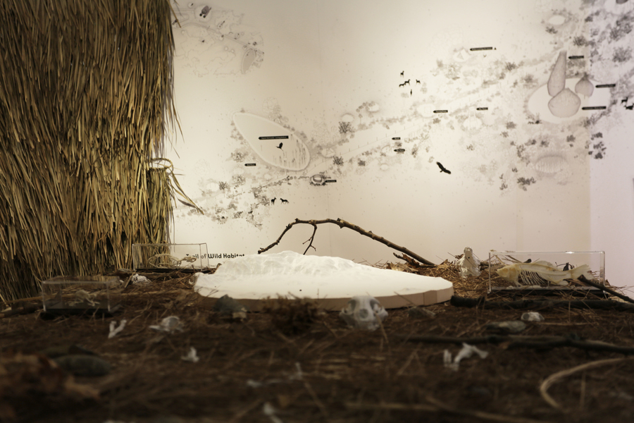Photo of the interior of a shelter created by MIT students in the MIT Wiesner Student Art Gallery