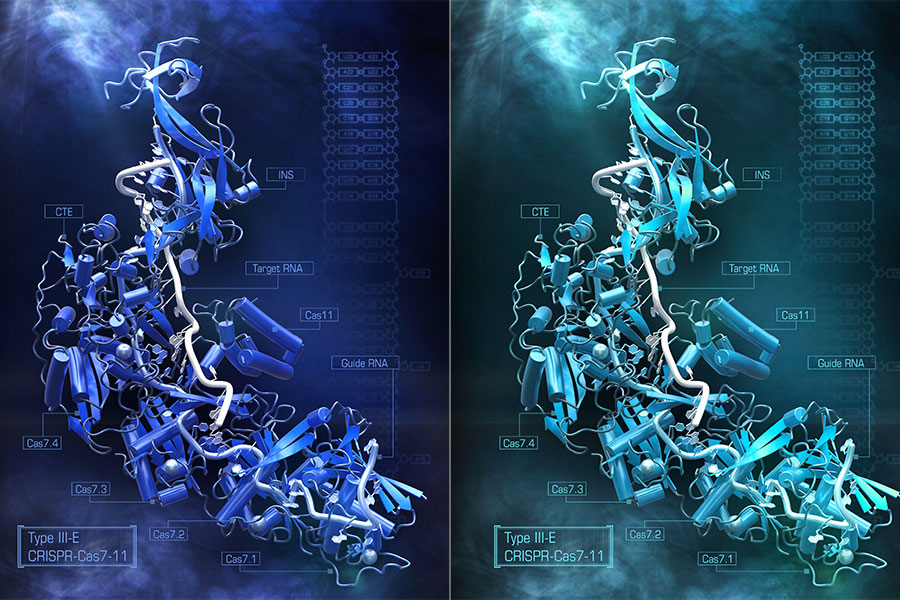 Individual neurons mix multiple RNA edits of key synapse protein, study  finds, MIT News