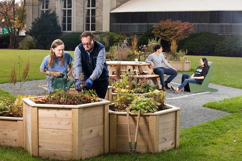 Photo of a man and woman working in hexagonal raised flower beds in a grassy area of the MIT campus while two other people lounge in the background