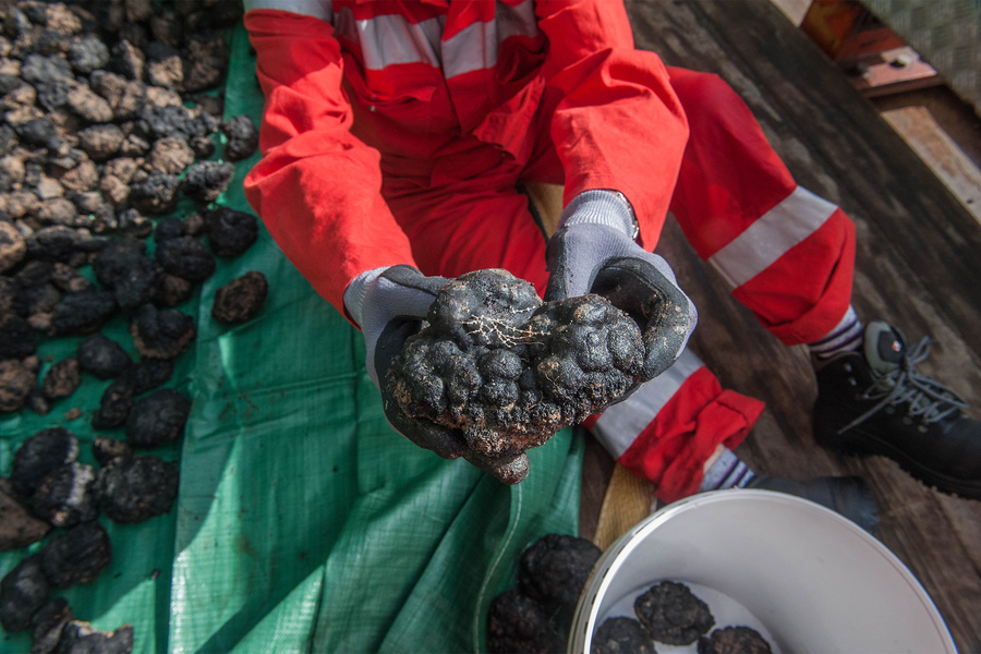 Gloved hands carry a bumpy, shiny black clump called a polymetallic nodule.